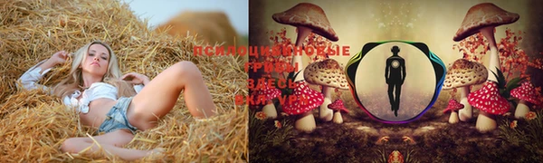 mdpv Нефтекумск